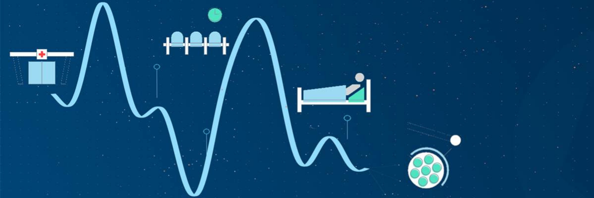 Data Scientists Ask, “What if We Could See the Entire Crisis System?”